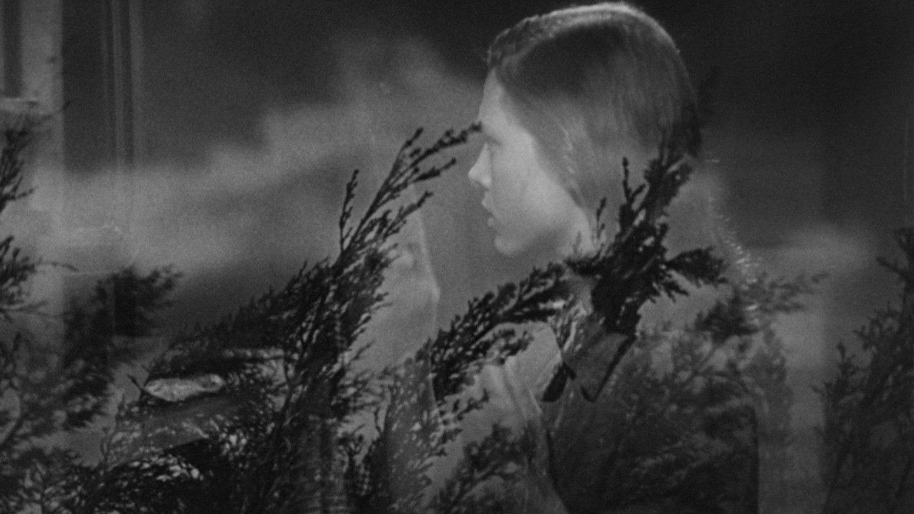 They Live by Night scene photo