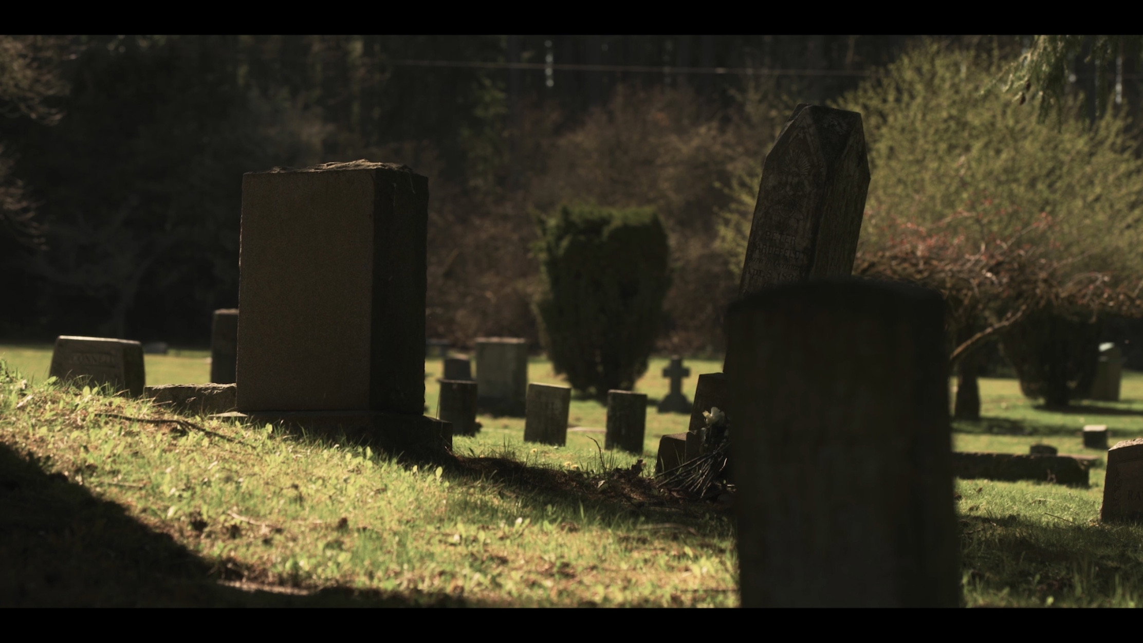 They Reach scene photo