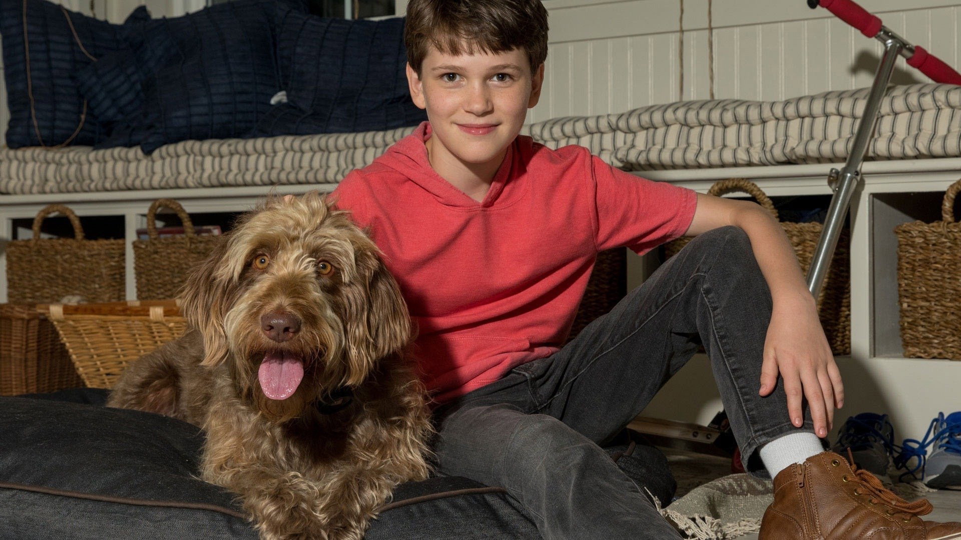 Think Like a Dog scene photo