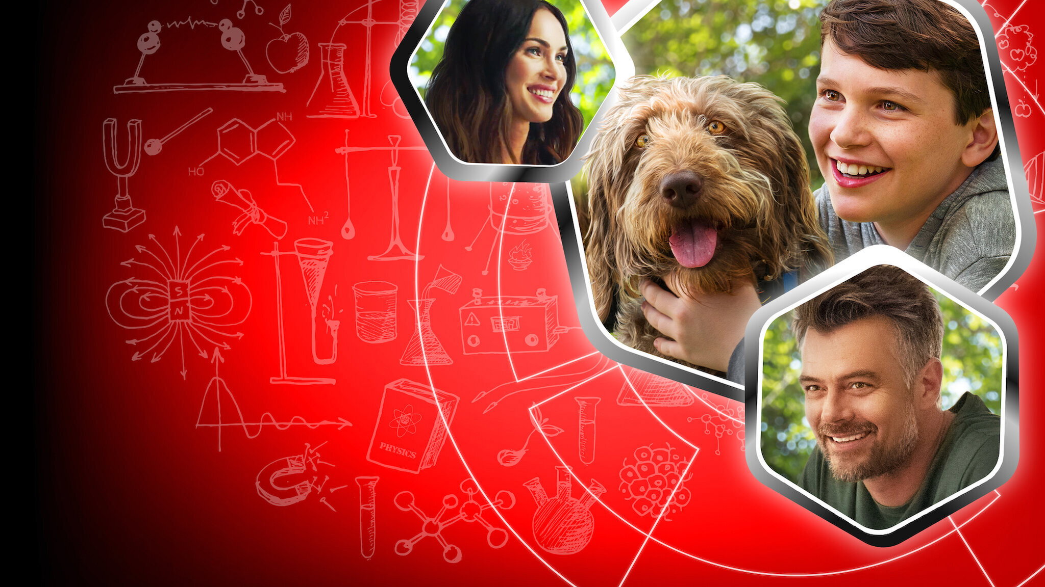 Think Like a Dog scene photo