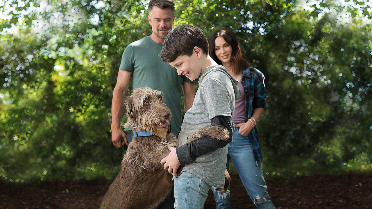 Think Like a Dog scene photo