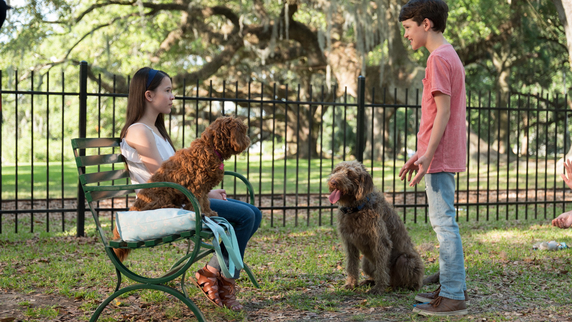 Think Like a Dog scene photo