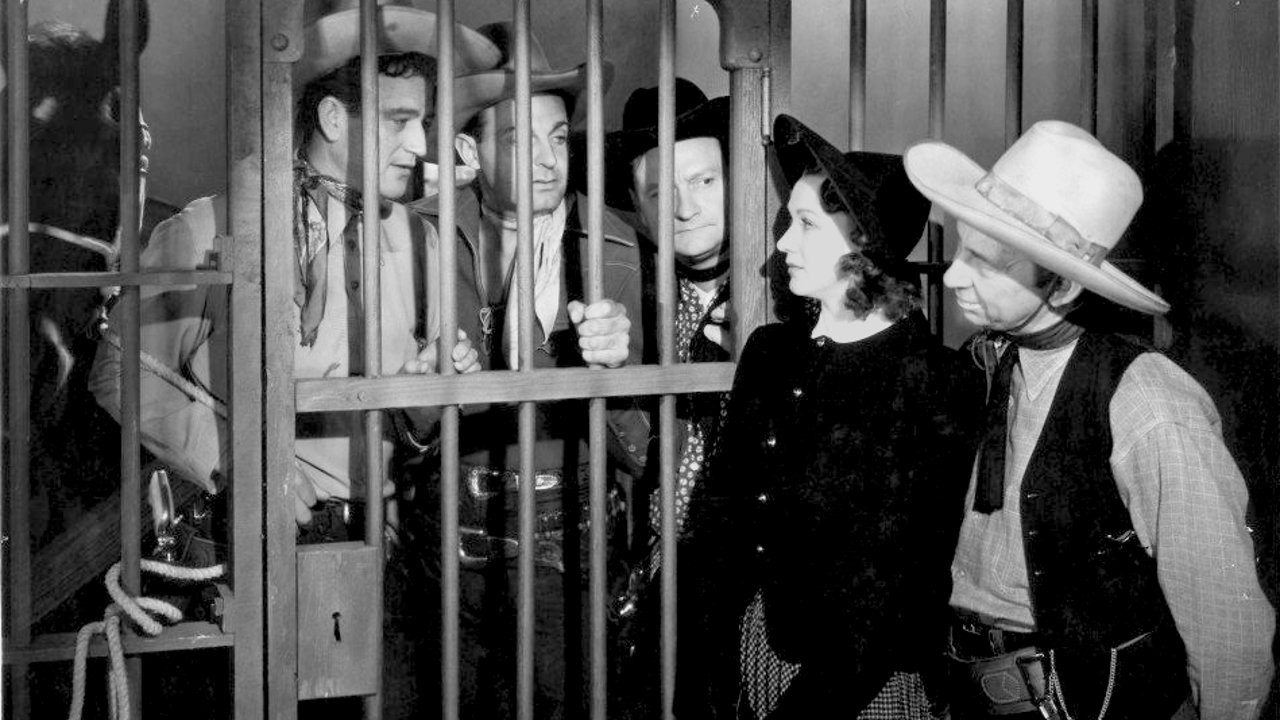 Three Texas Steers scene photo