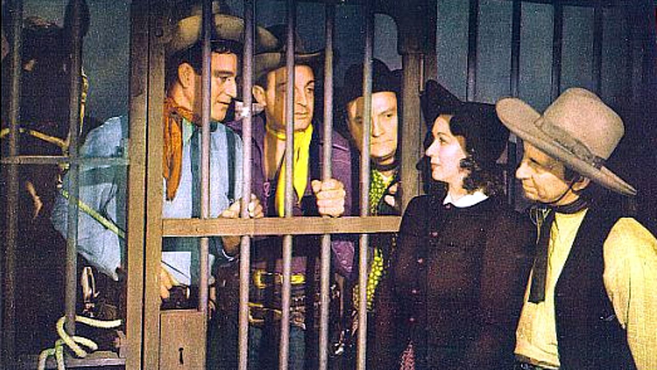 Three Texas Steers scene photo