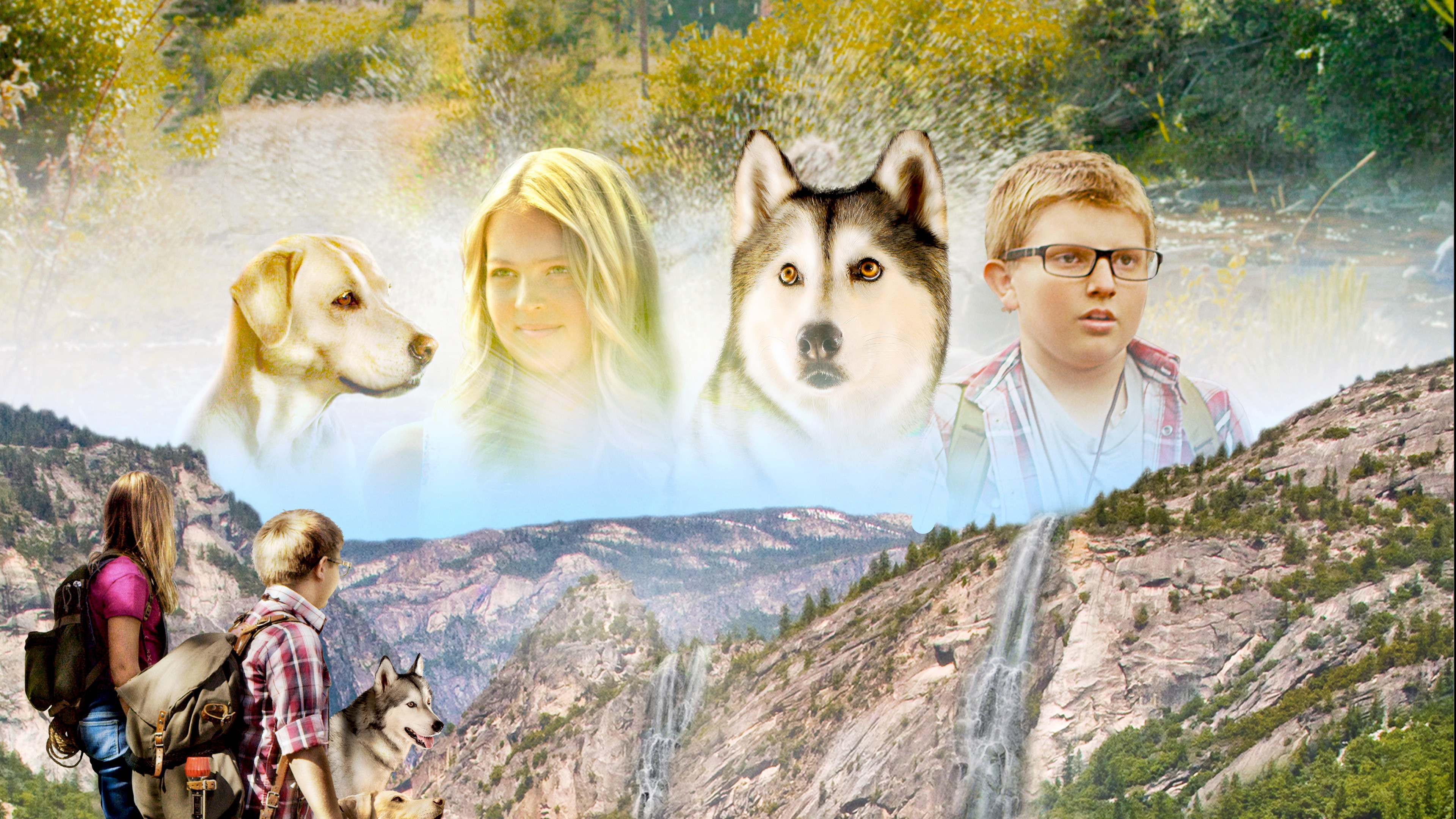 Timber the Treasure Dog scene photo