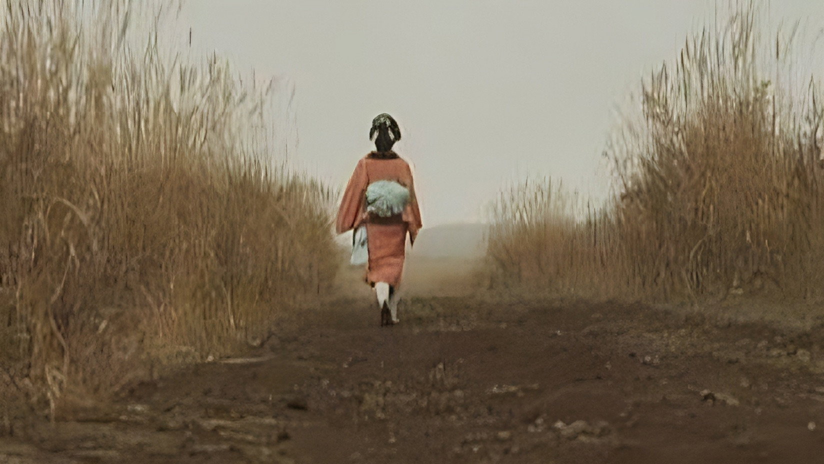 Tokkan scene photo