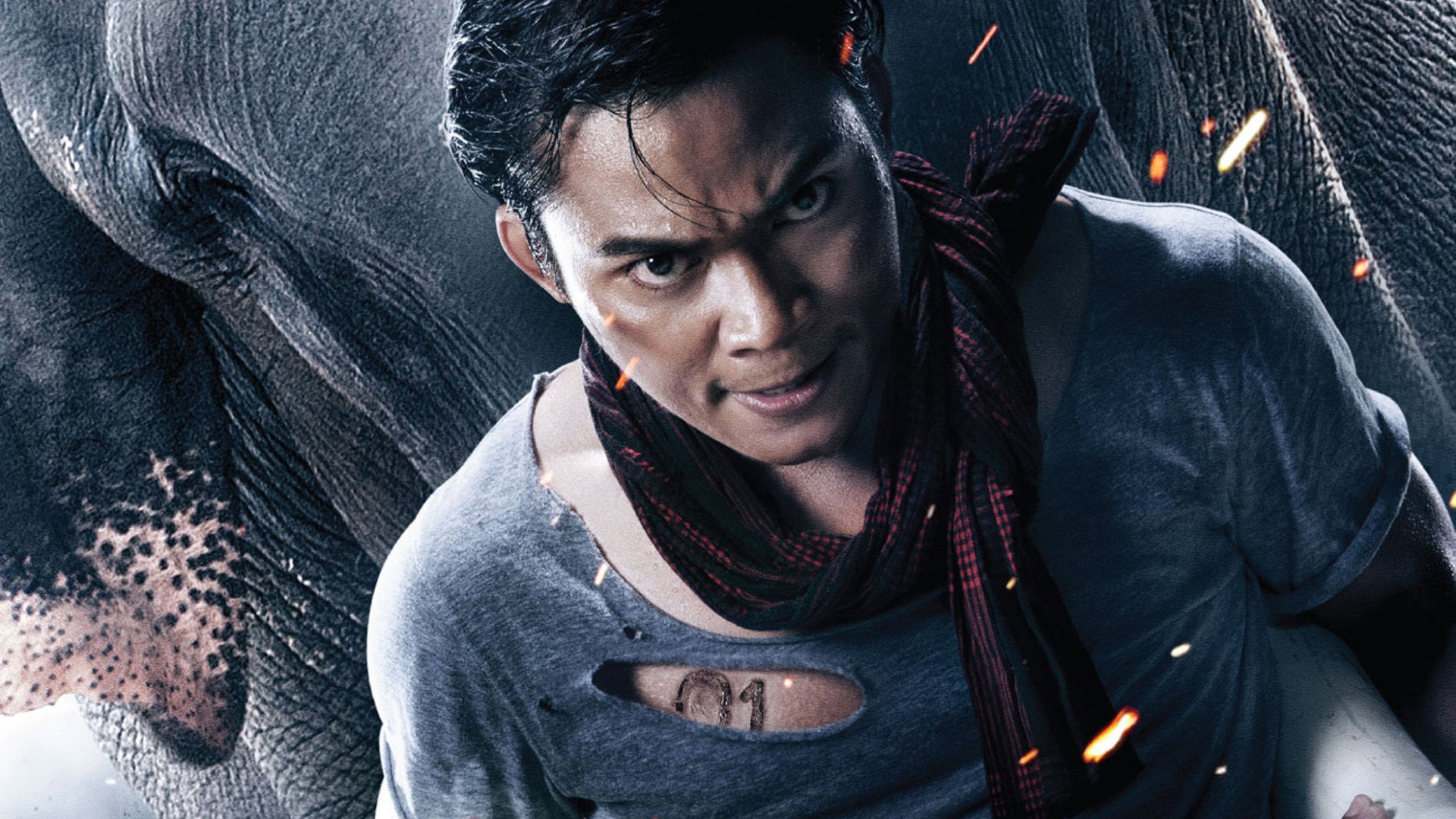 Tom yum goong 2 scene photo