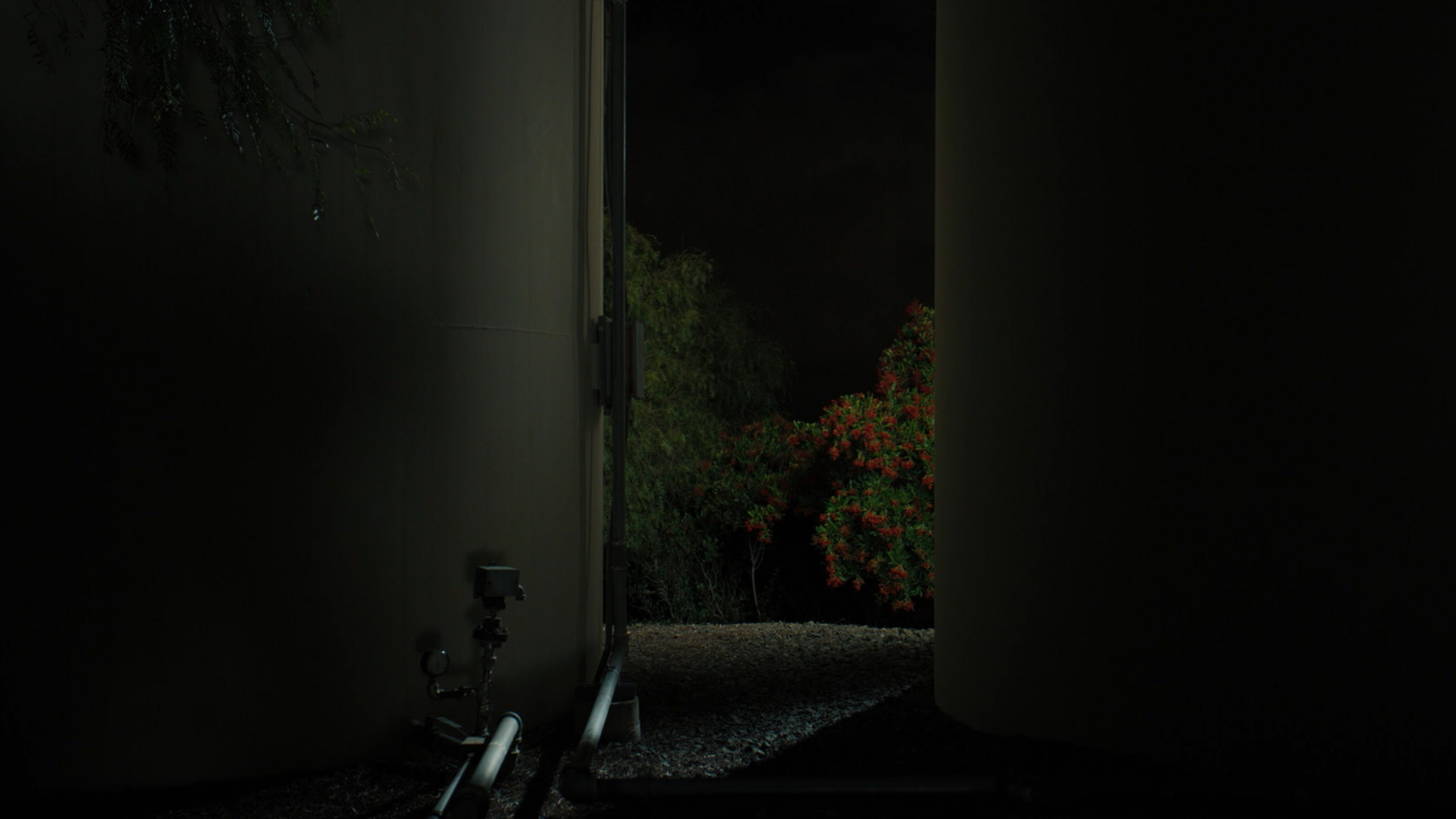 Tomorrow, You Pretty Ghost scene photo
