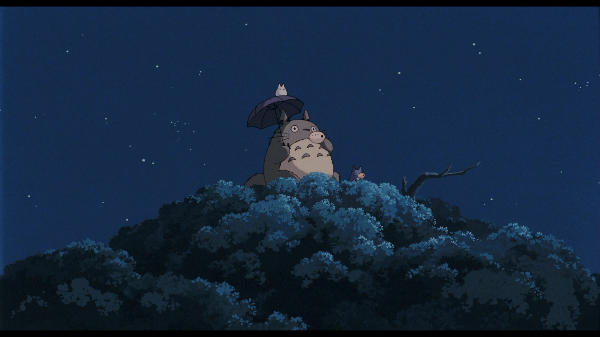 Tonari no Totoro scene photo