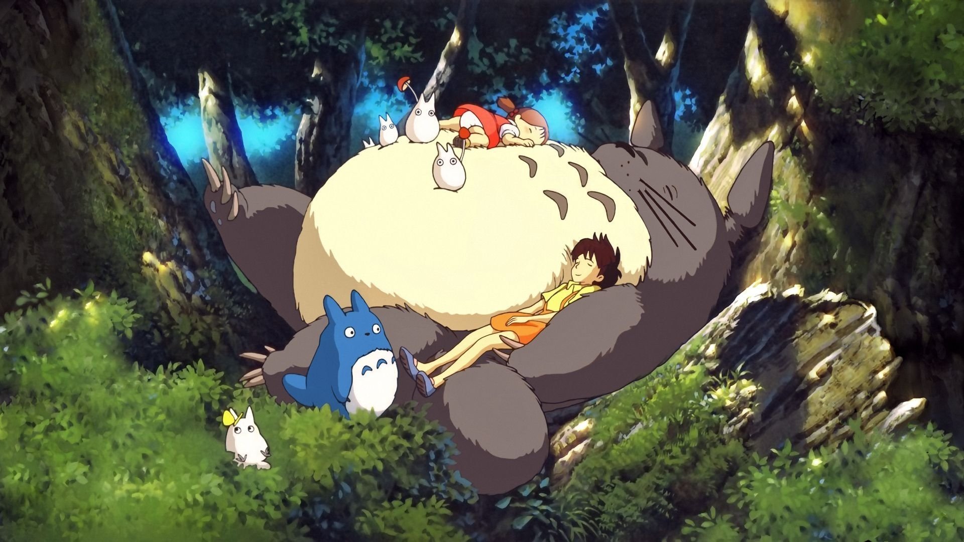 Tonari no Totoro scene photo