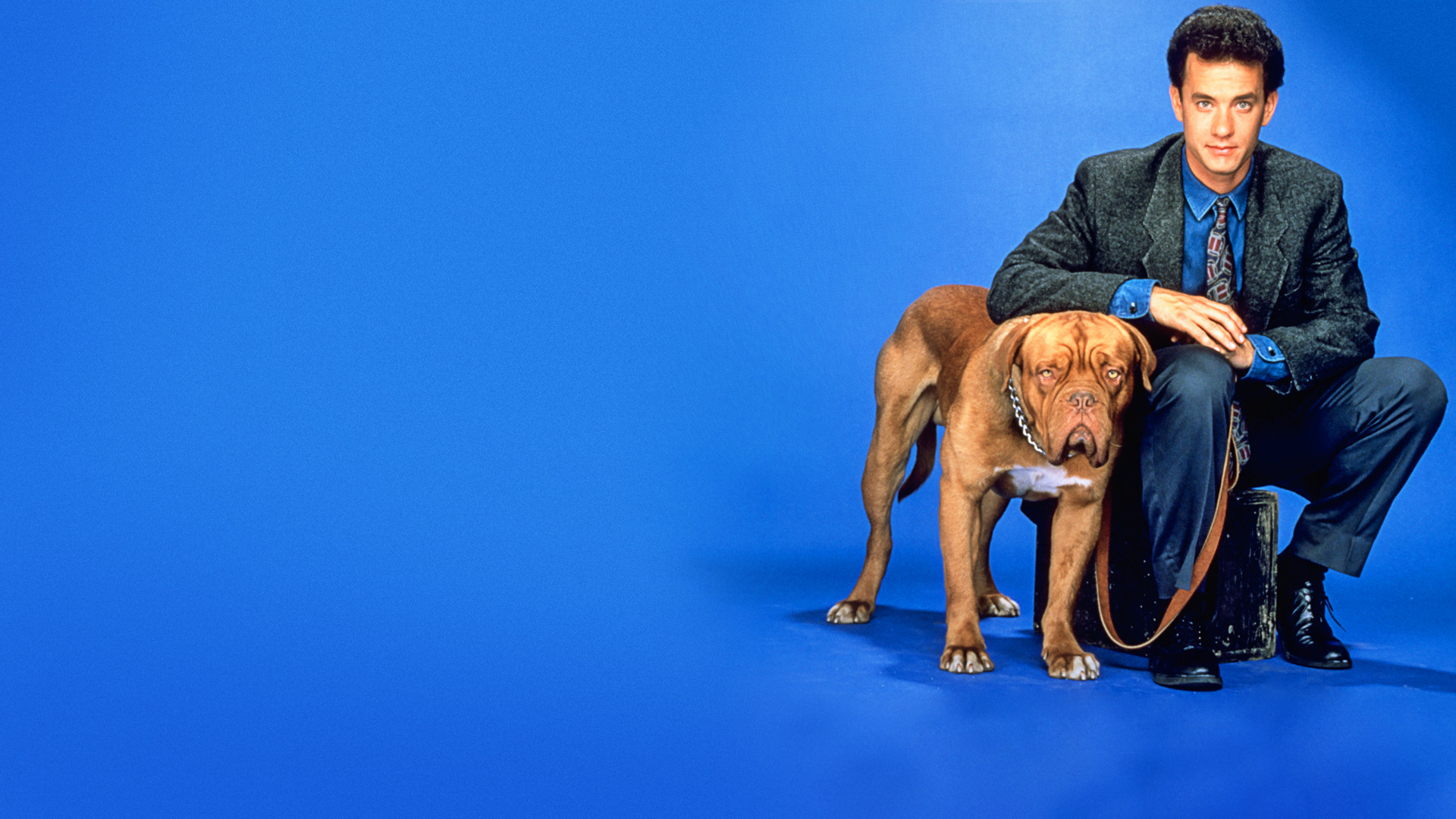Turner & Hooch scene photo