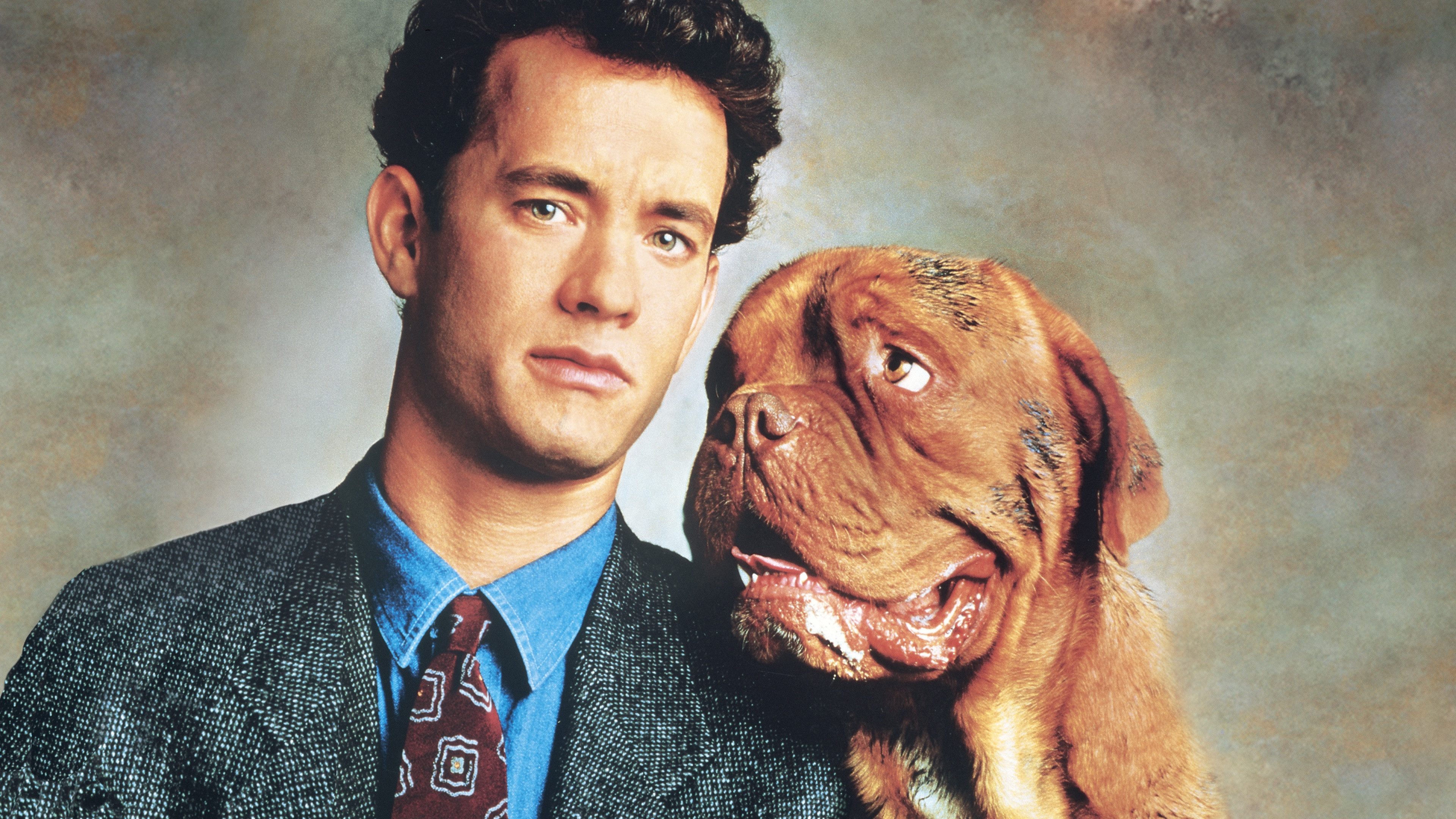 Turner & Hooch scene photo