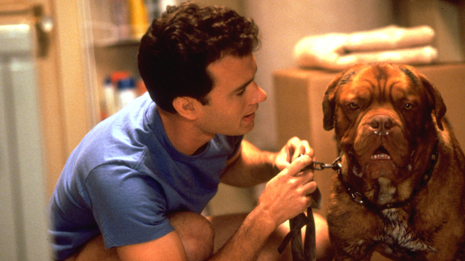 Turner & Hooch scene photo