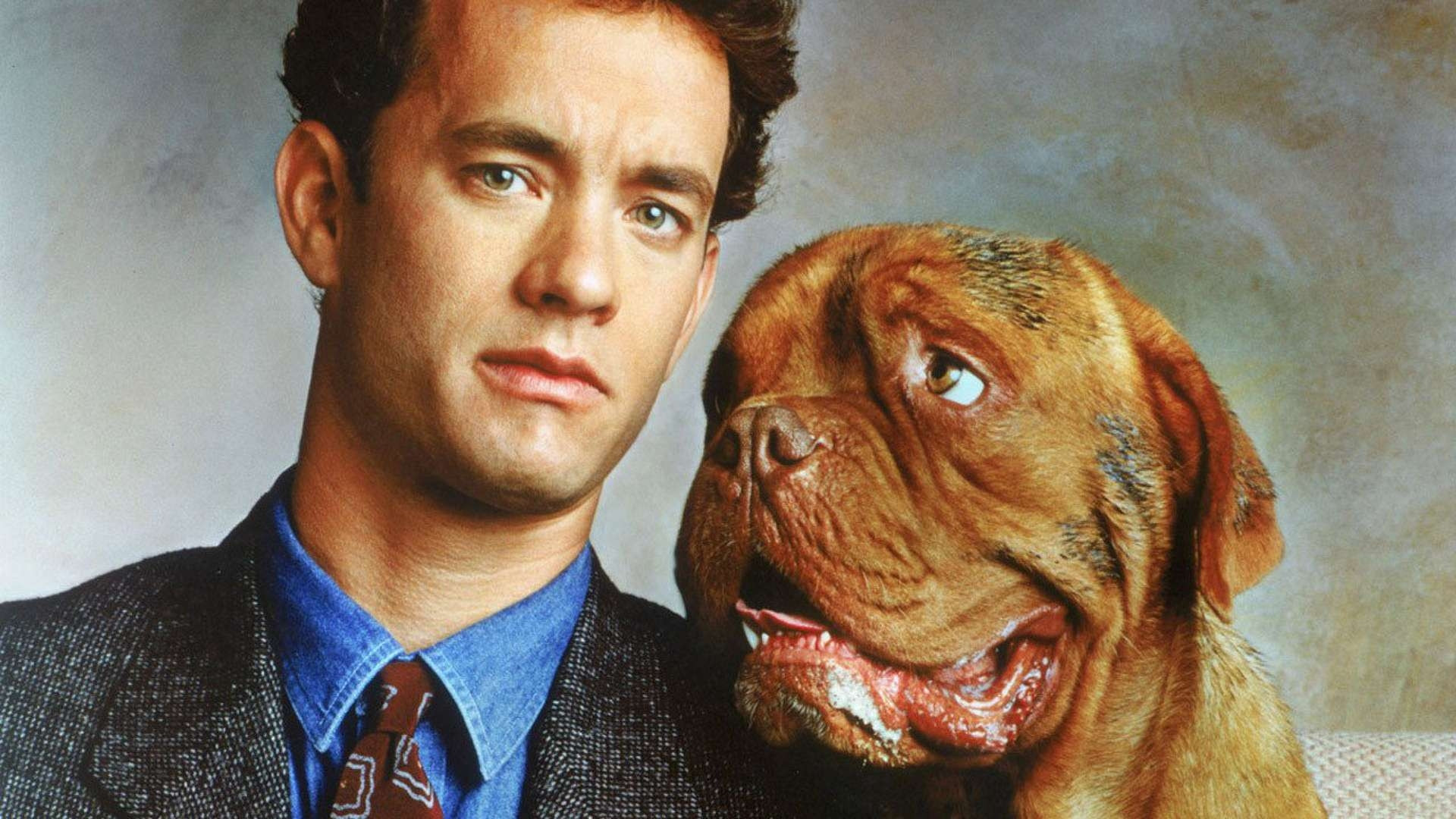 Turner & Hooch scene photo