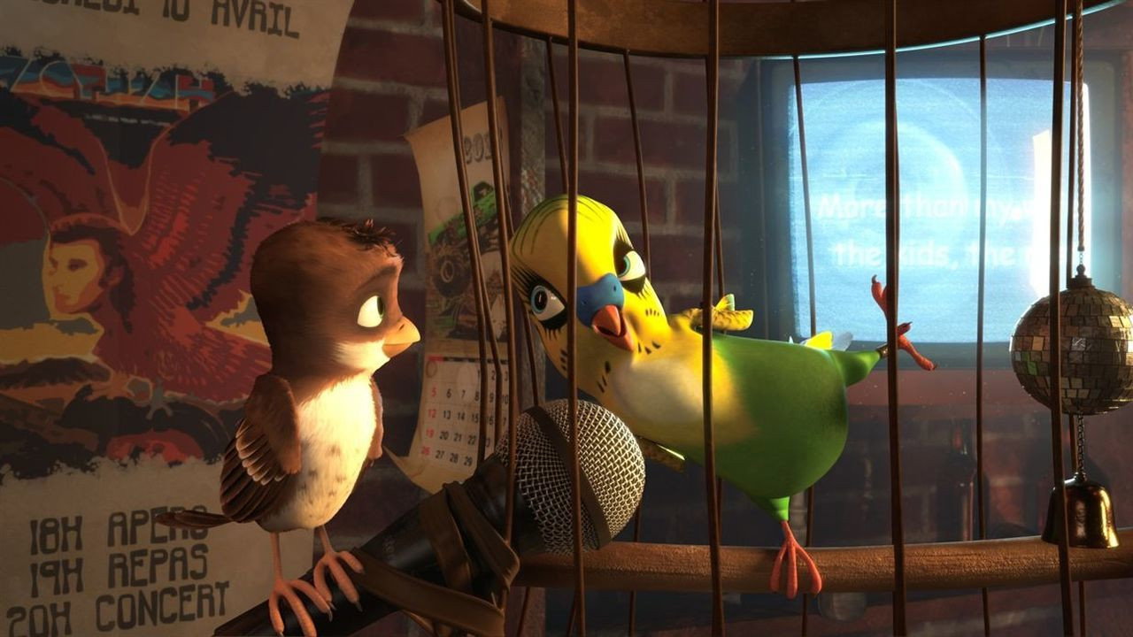 Überflieger - Kleine Vögel, großes Geklapper scene photo