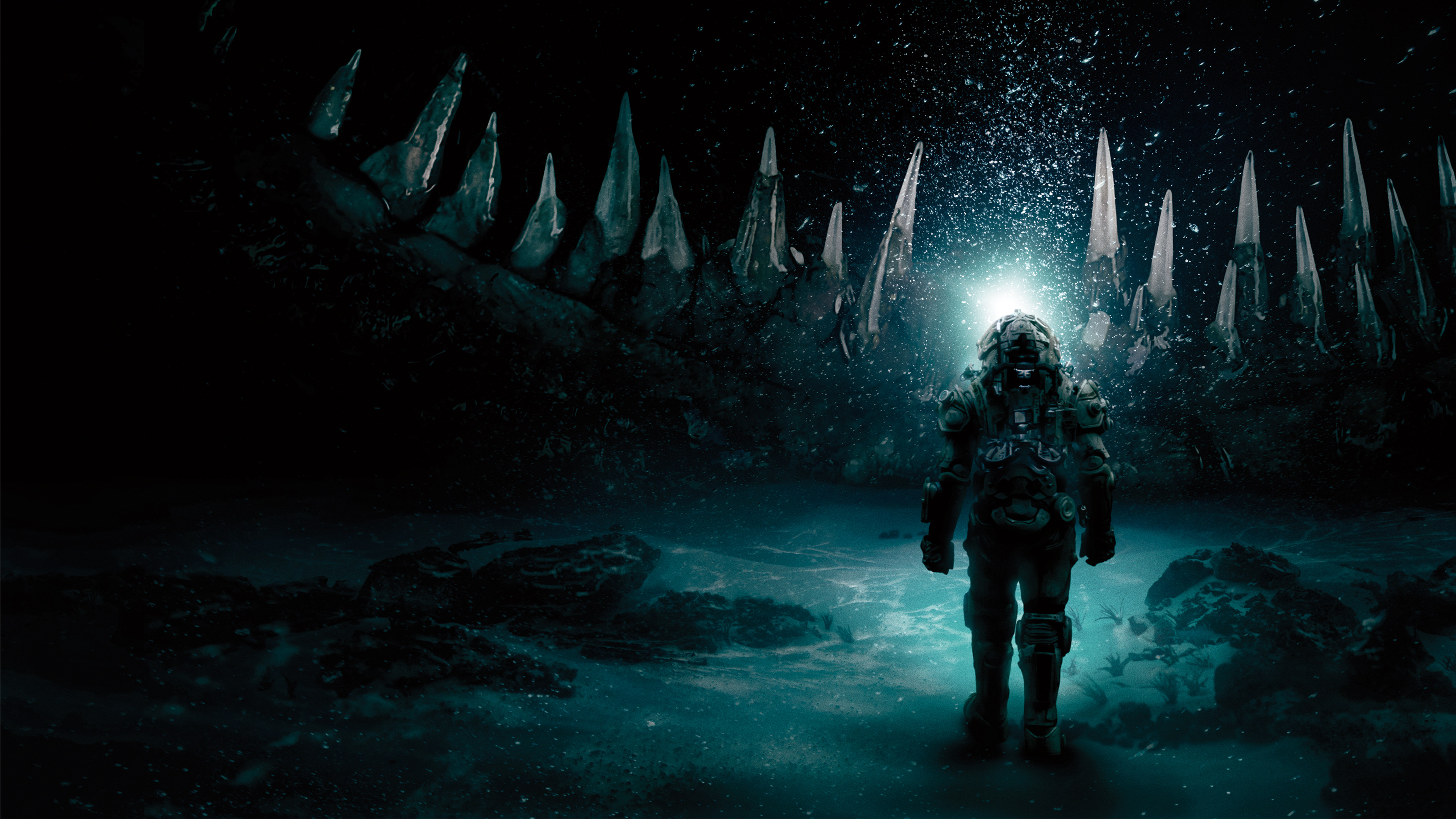 Underwater scene photo