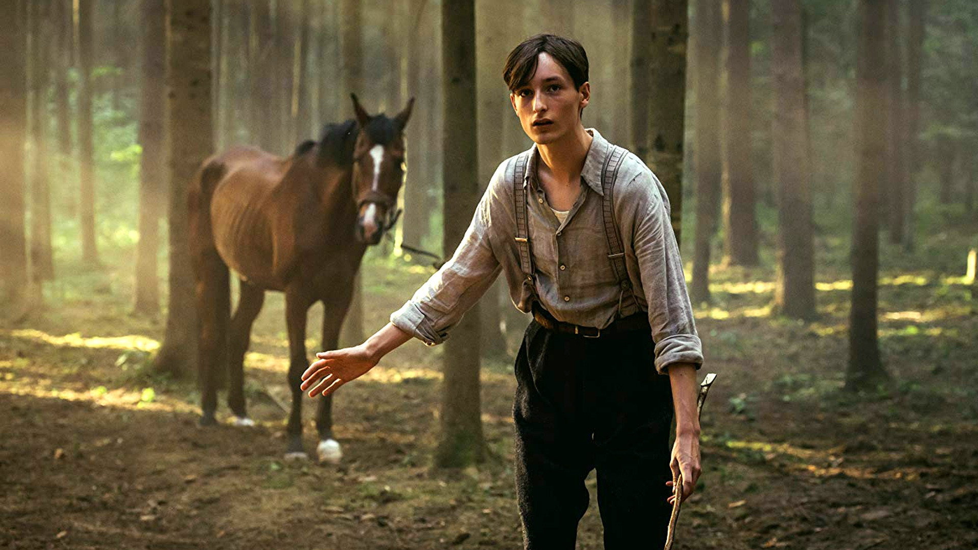 Ut og stjæle hester scene photo