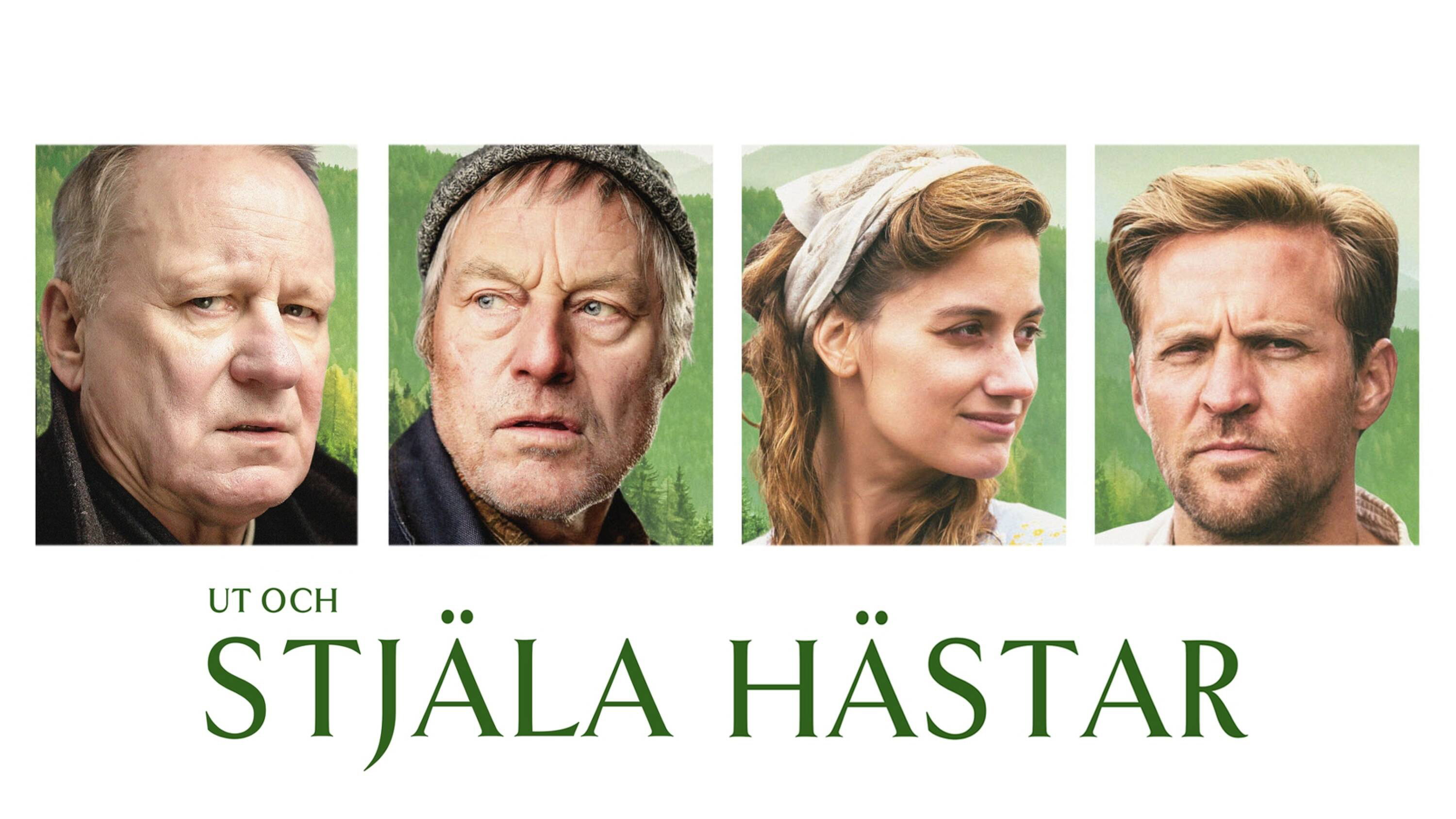 Ut og stjæle hester scene photo