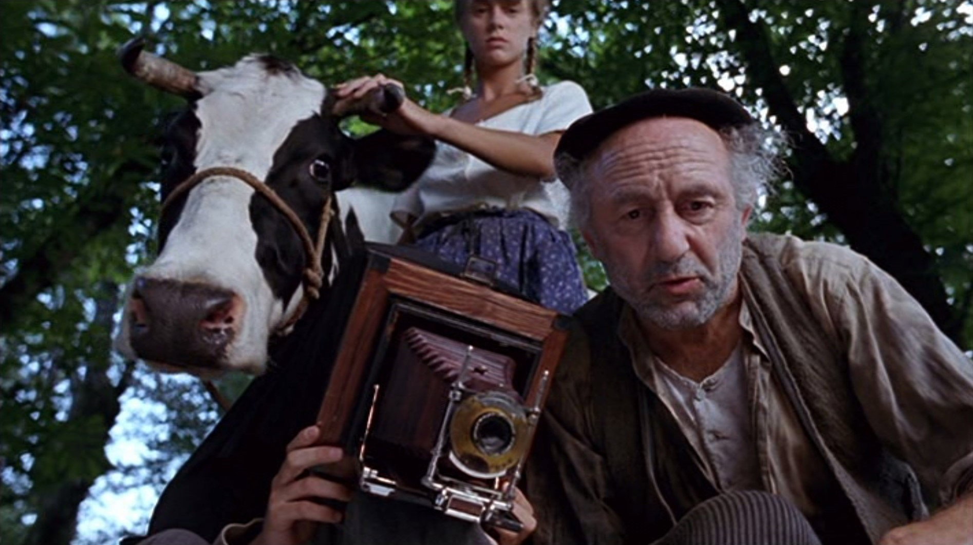 Vacas scene photo