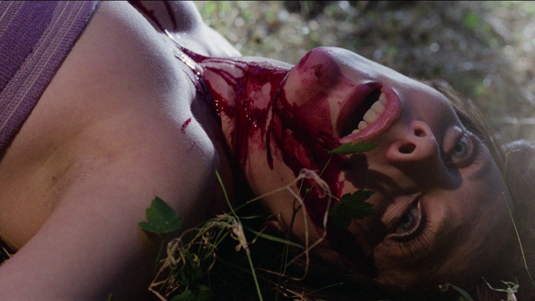 Violación fatal scene photo