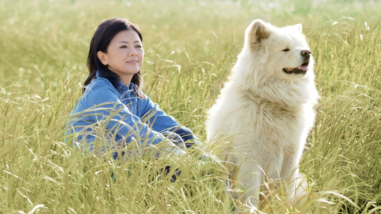 Wasao scene photo