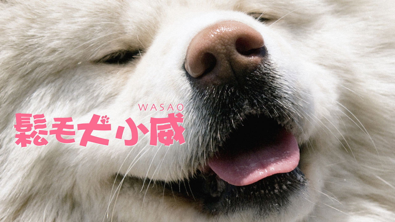 Wasao scene photo