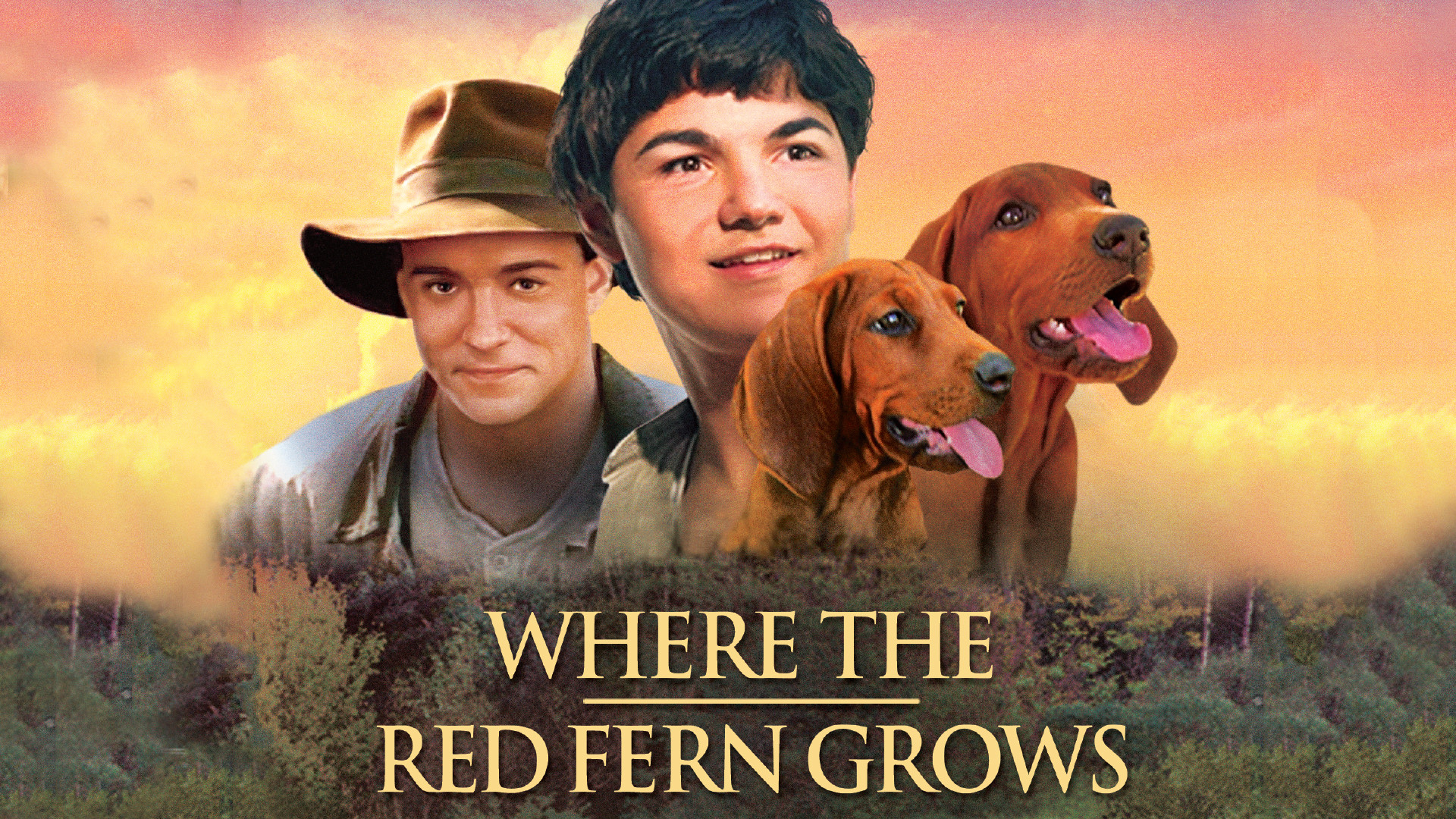 Where the Red Fern Grows scene photo