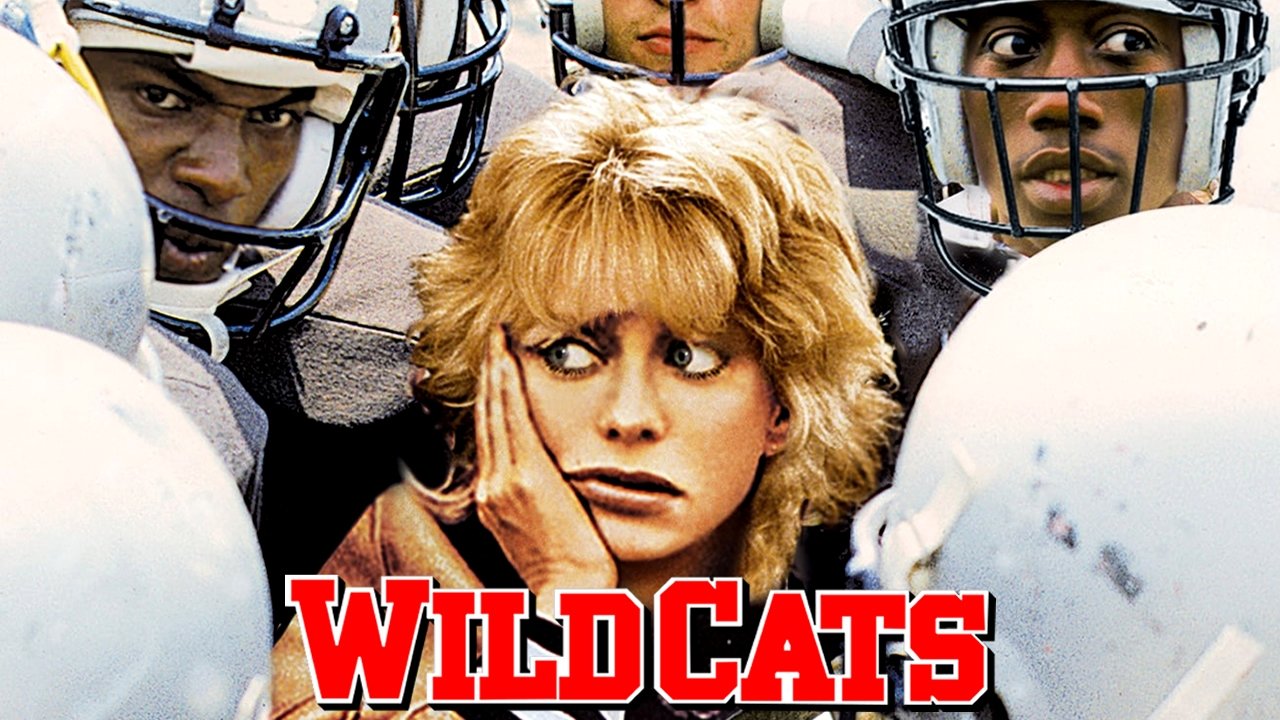 Wildcats scene photo
