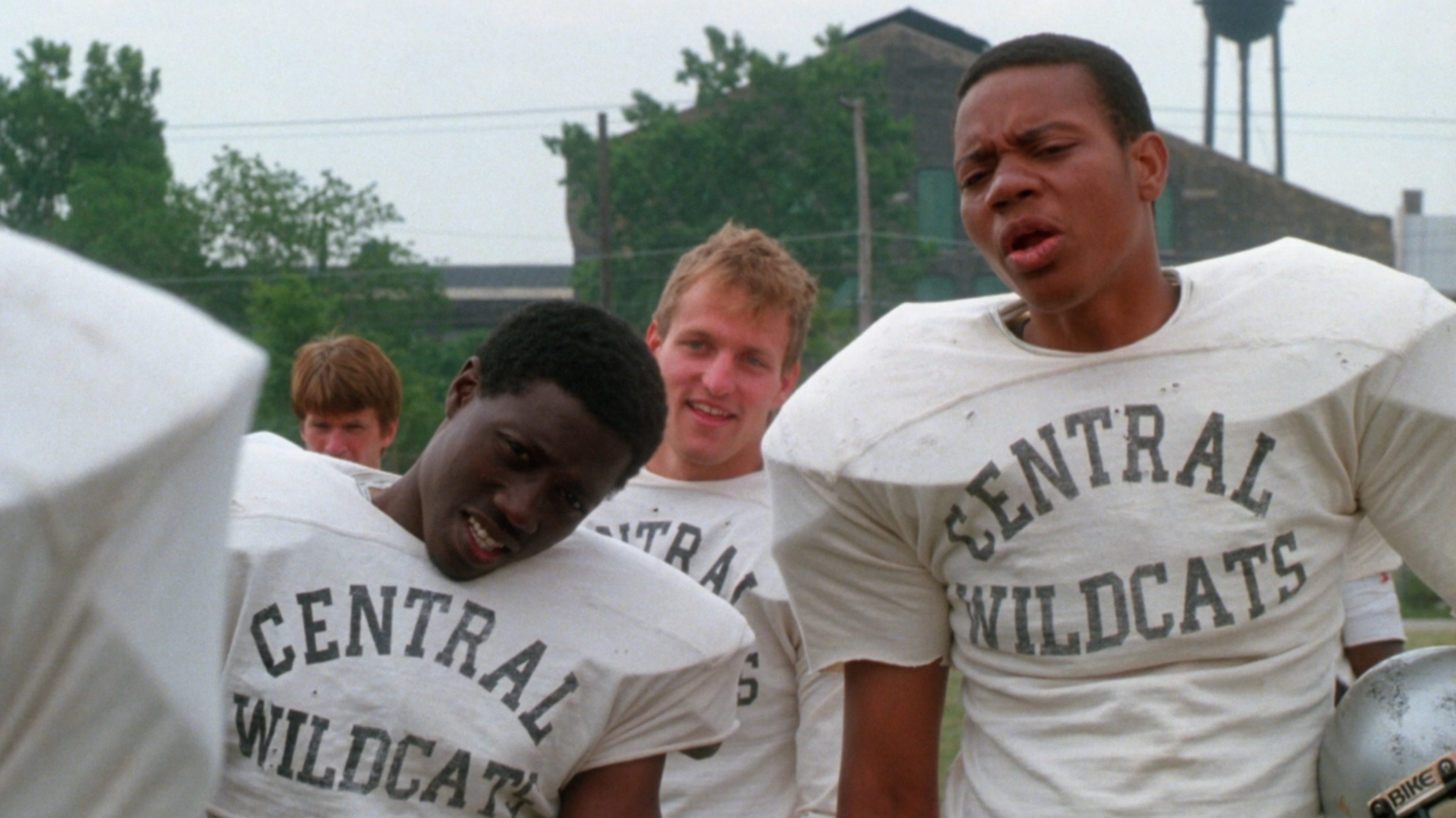 Wildcats scene photo