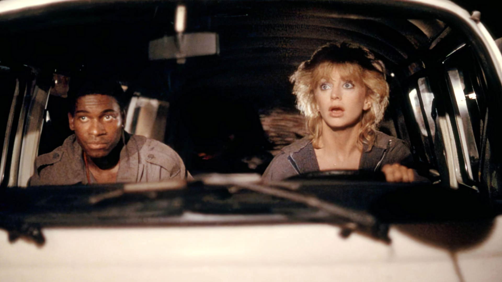 Wildcats scene photo