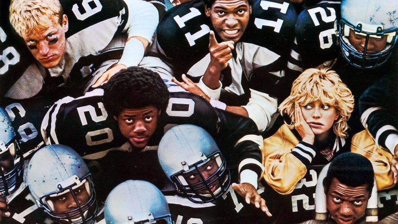 Wildcats scene photo