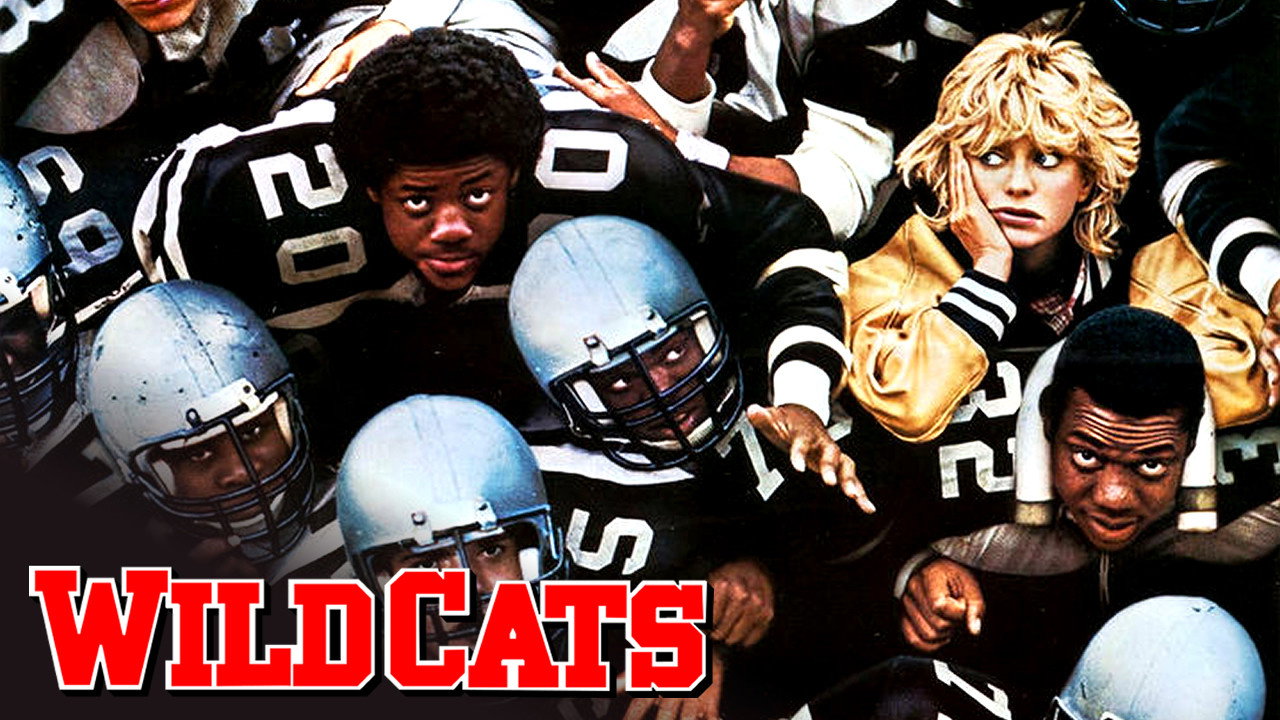 Wildcats scene photo