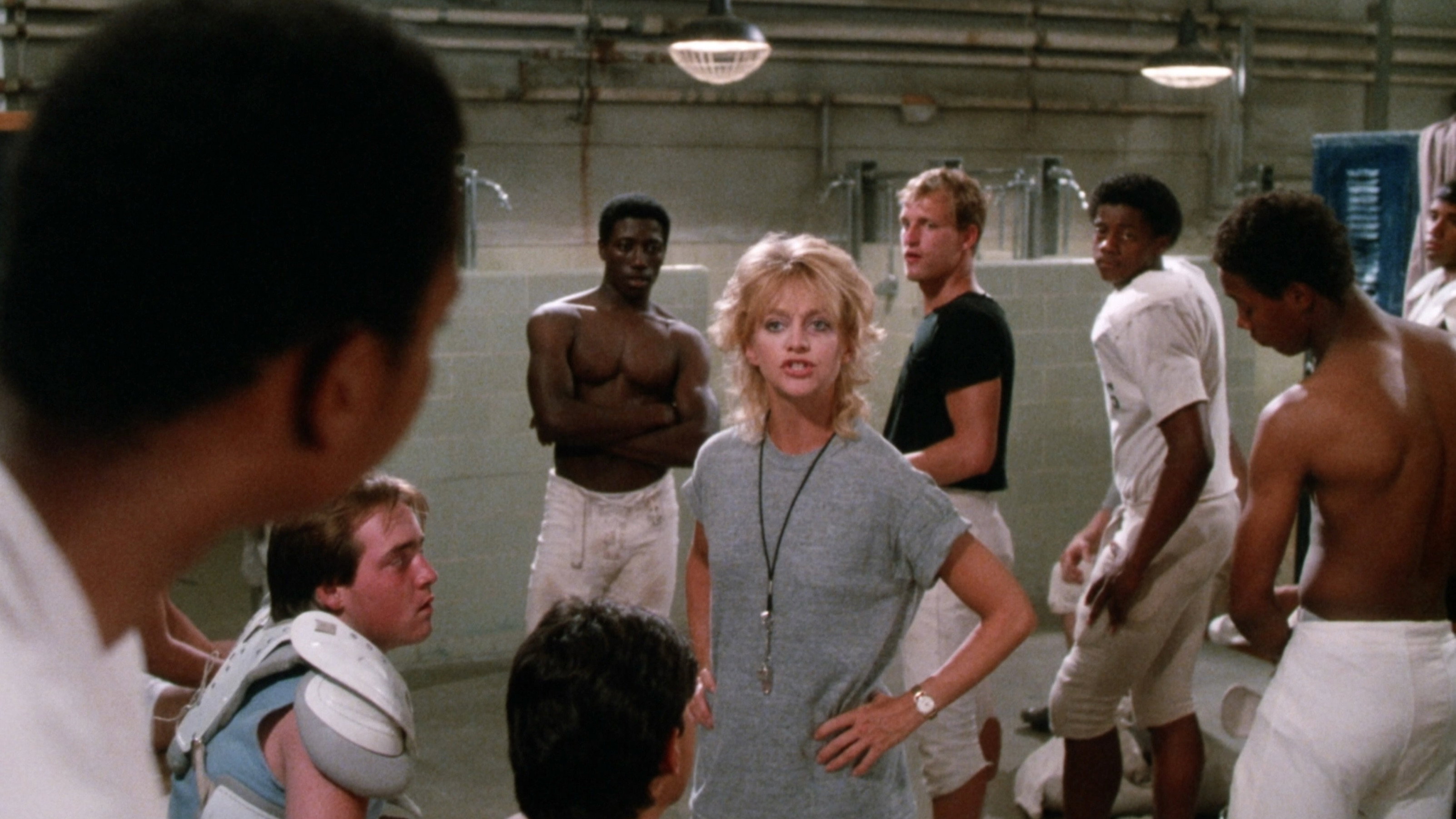Wildcats scene photo