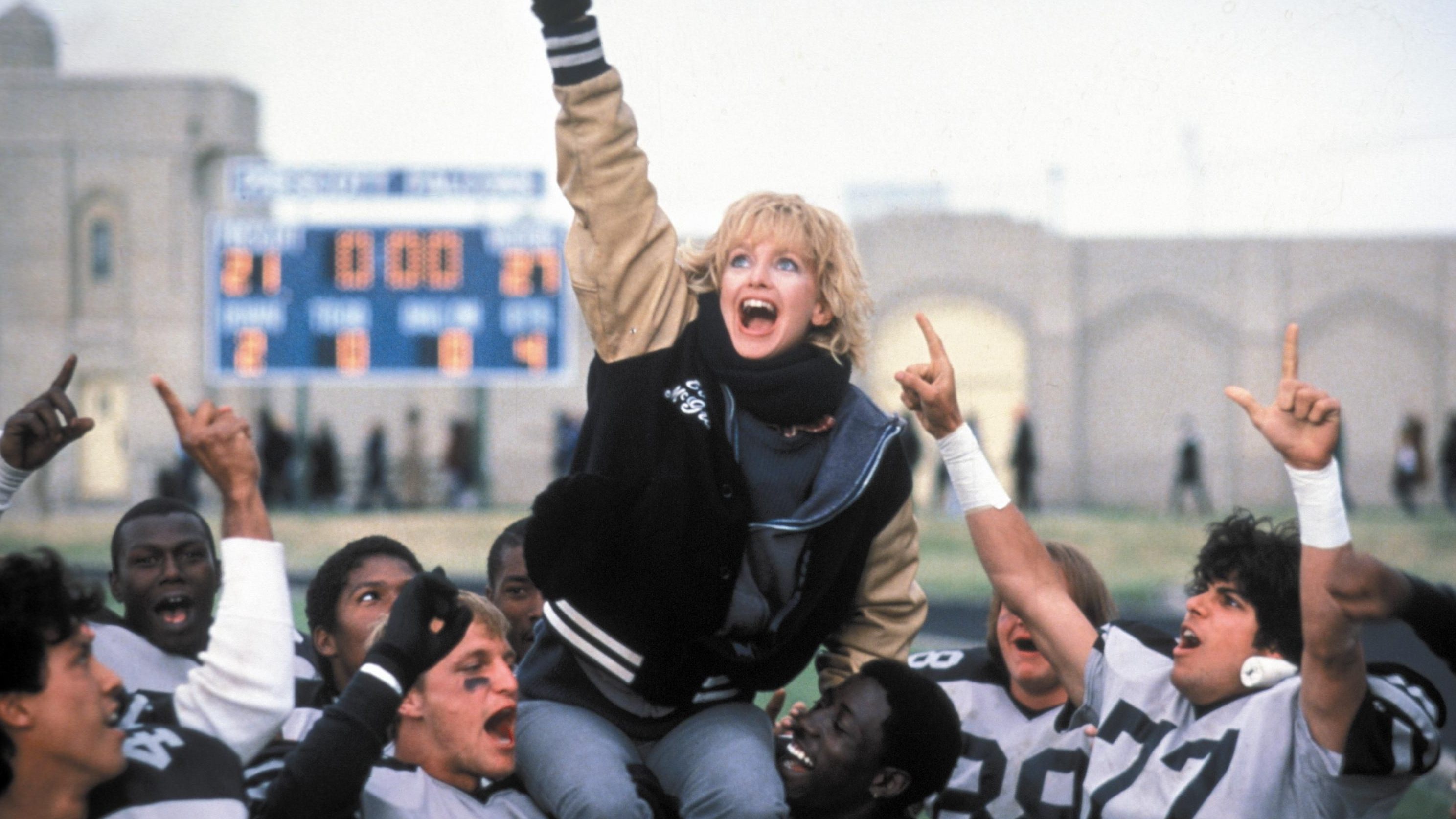 Wildcats scene photo
