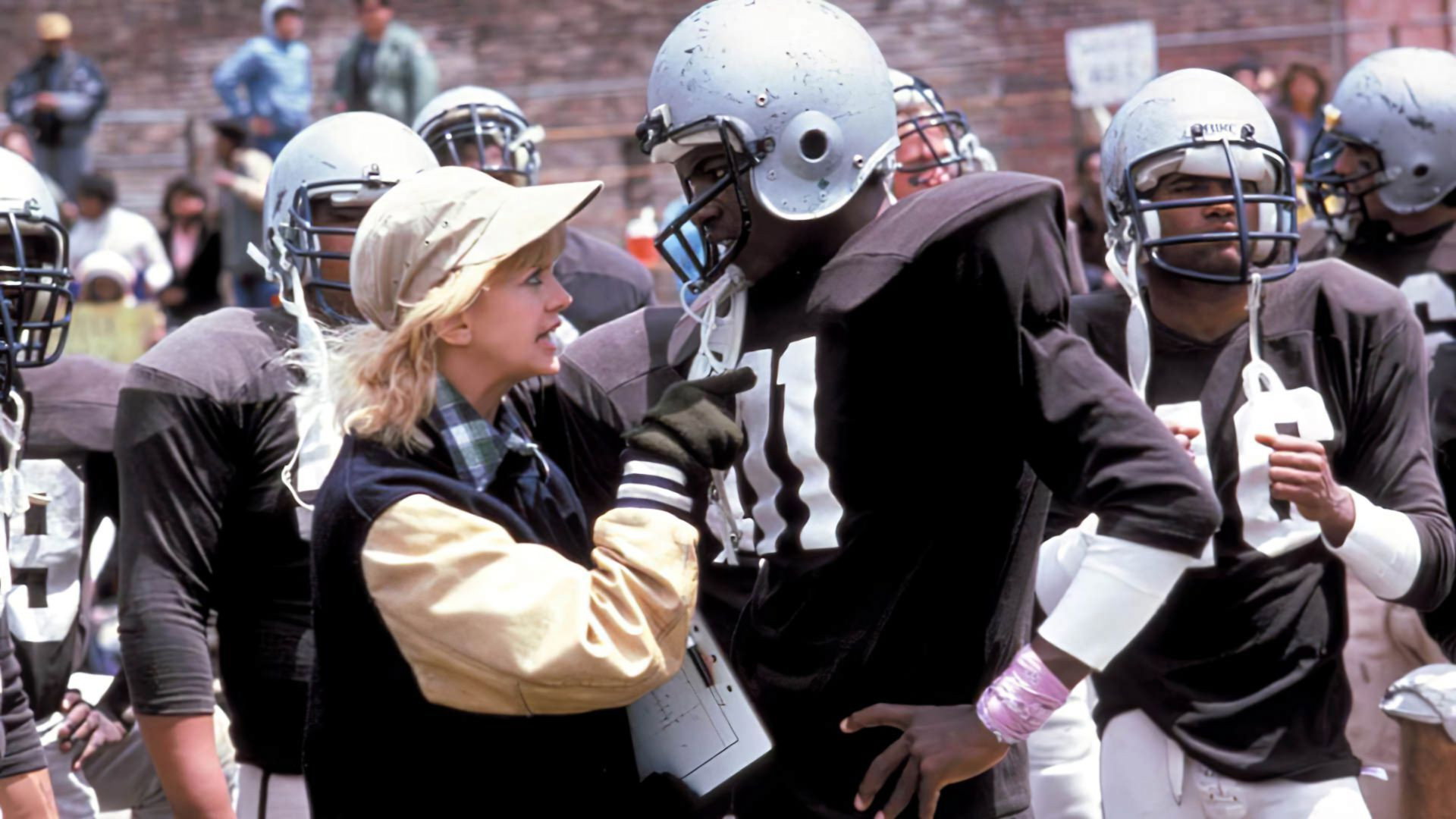 Wildcats scene photo