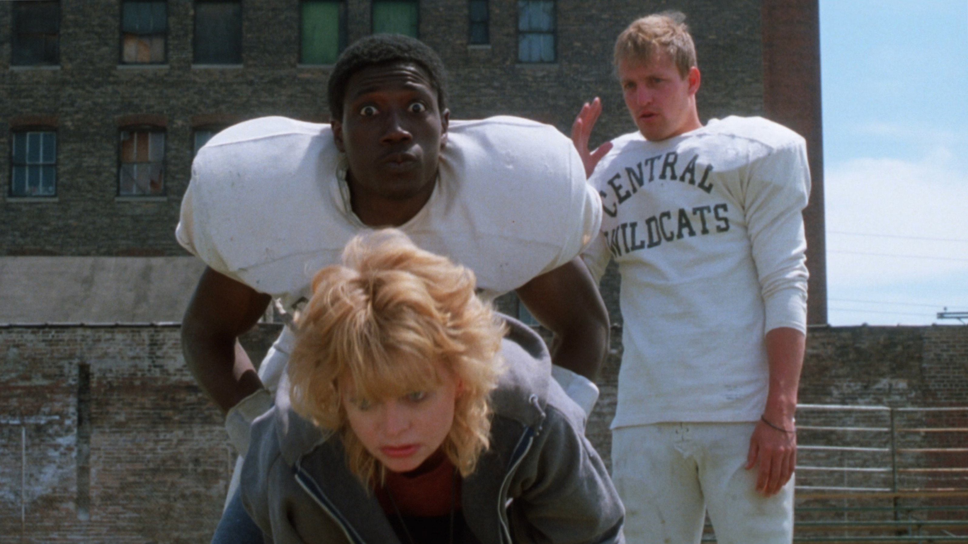 Wildcats scene photo