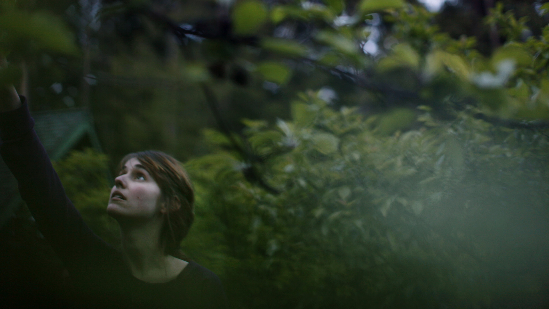 Without scene photo