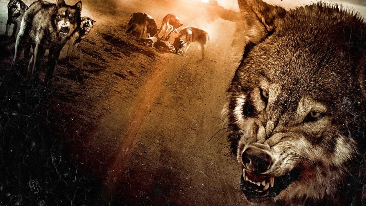 Wolf Town scene photo