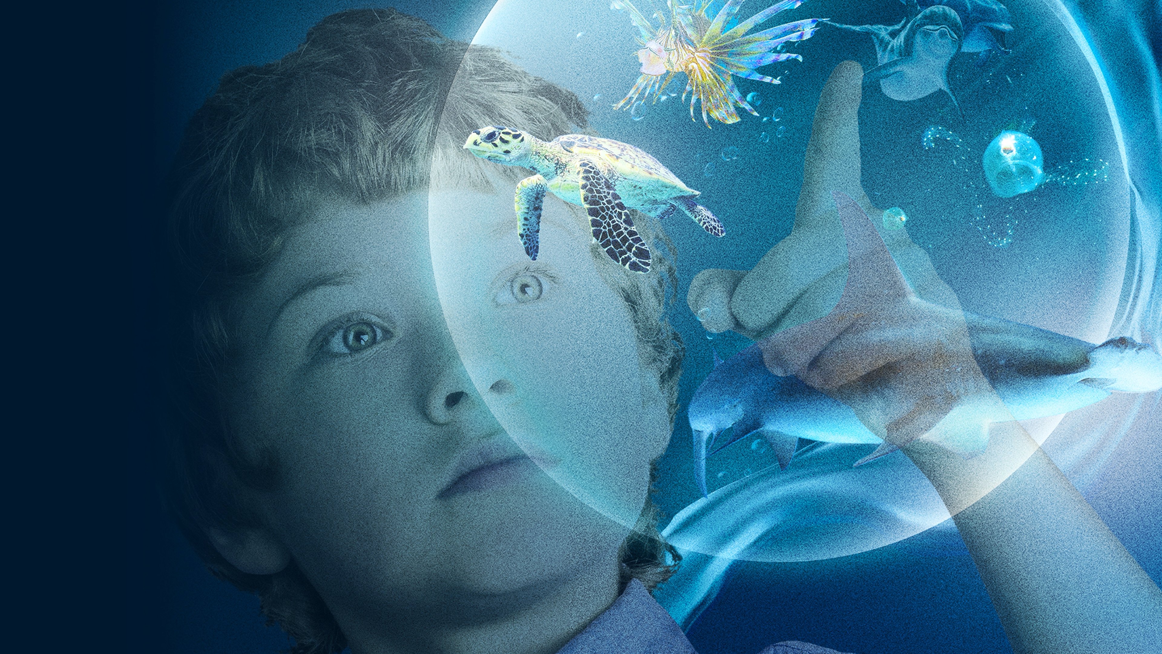 Wonders of the Sea 3D scene photo