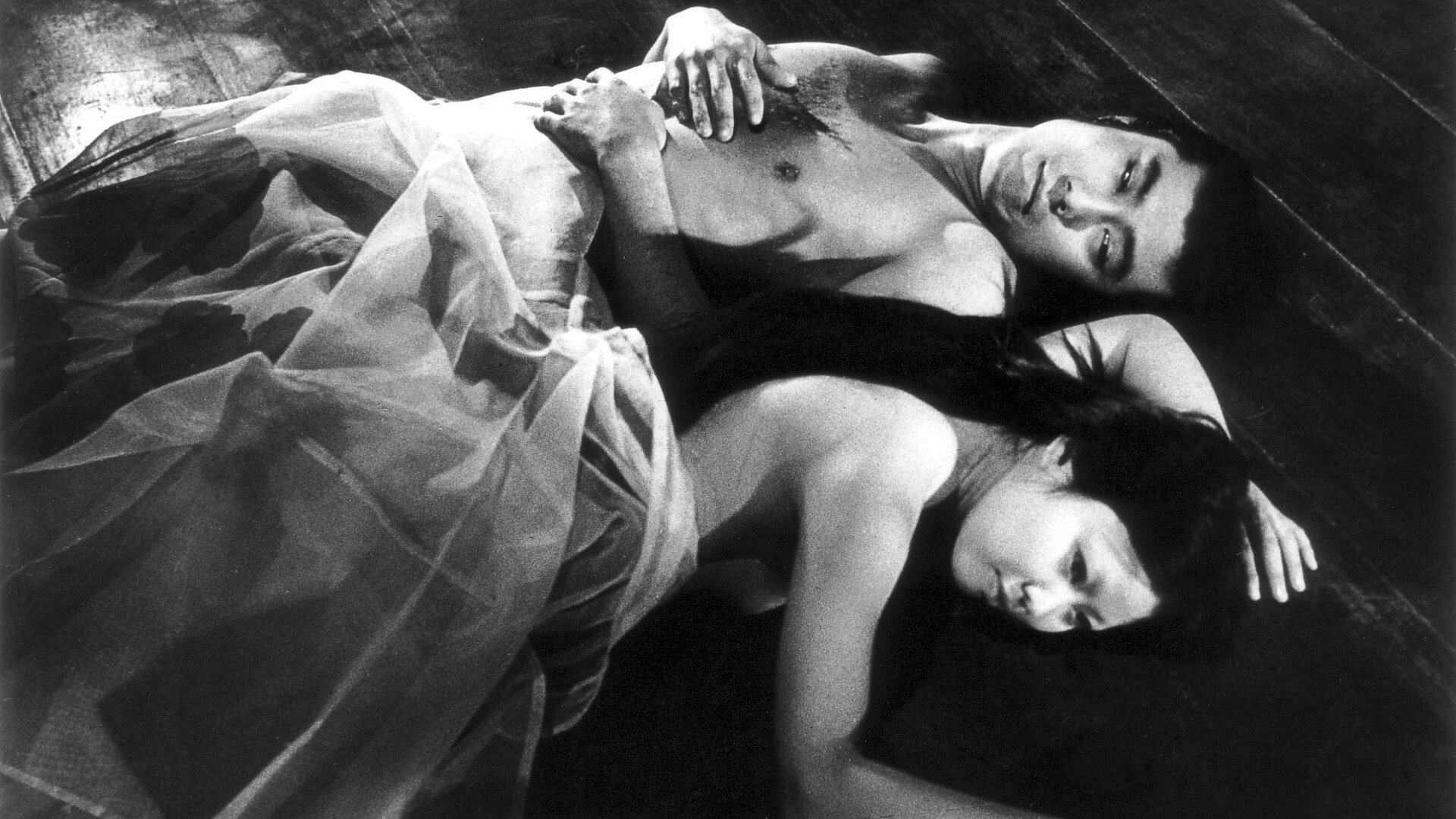 Yabu no naka no kuroneko scene photo