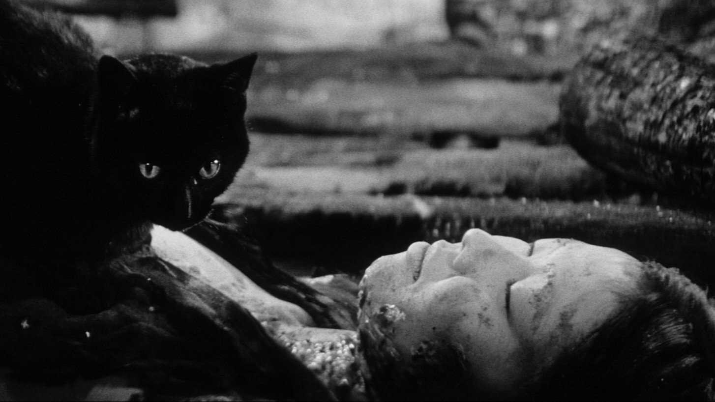 Yabu no naka no kuroneko scene photo