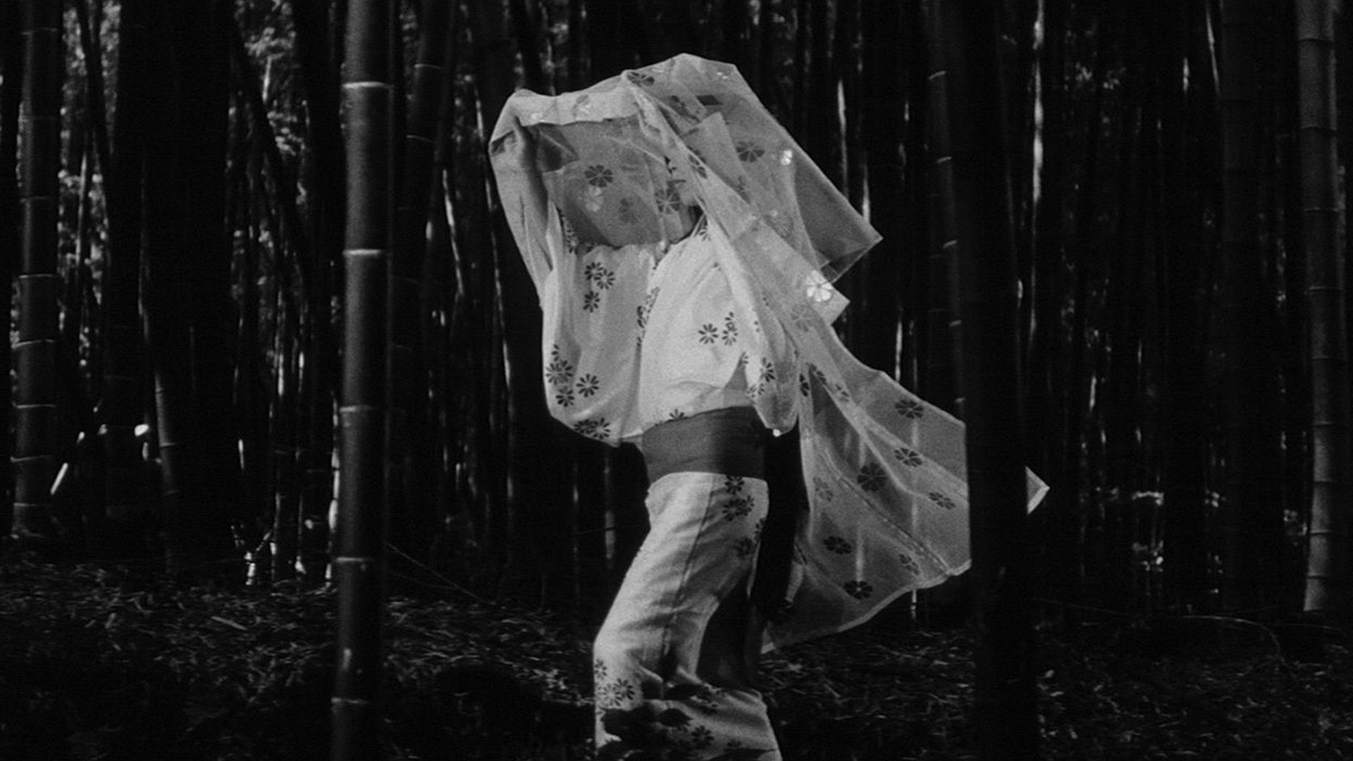 Yabu no naka no kuroneko scene photo