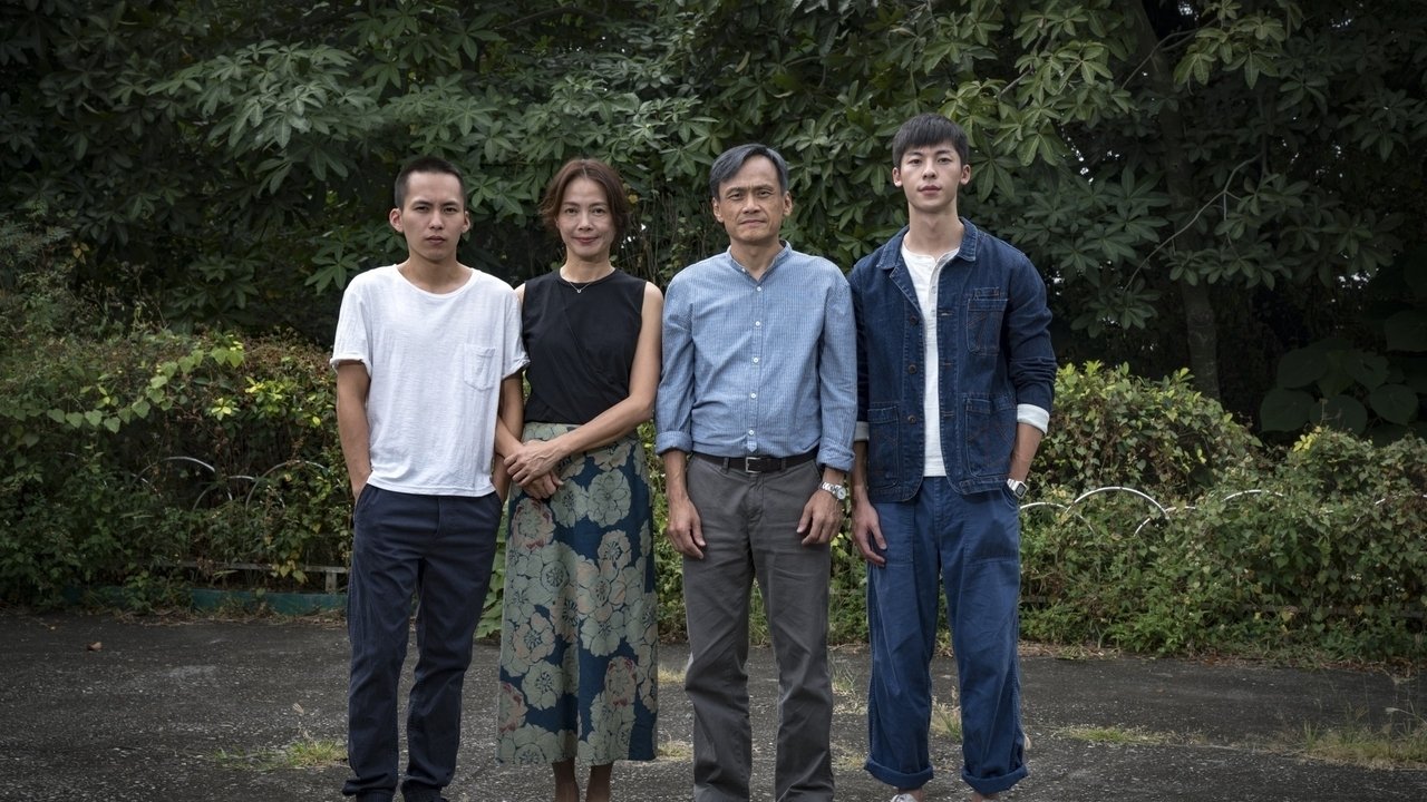 Yangguang puzhao scene photo