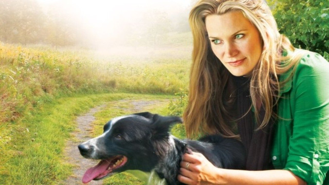 You Lucky Dog scene photo