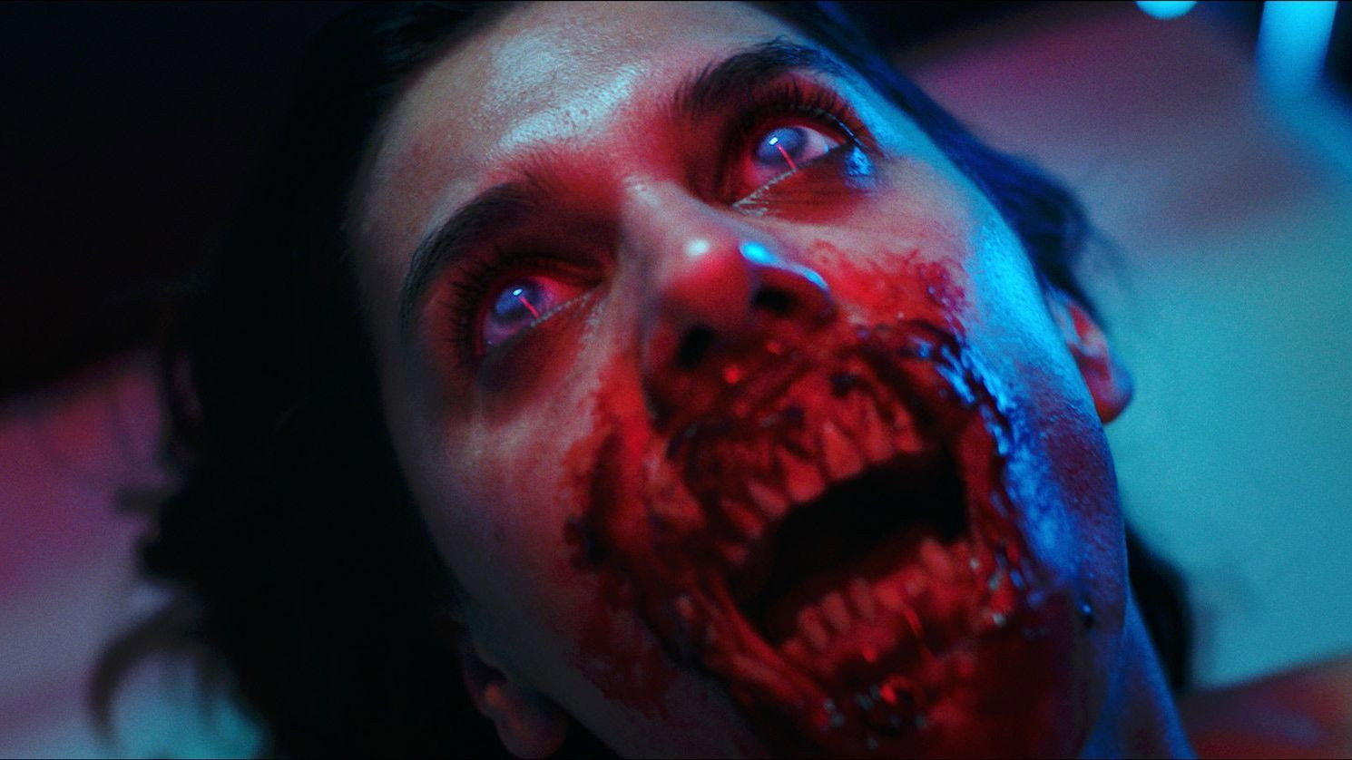 Yummy scene photo