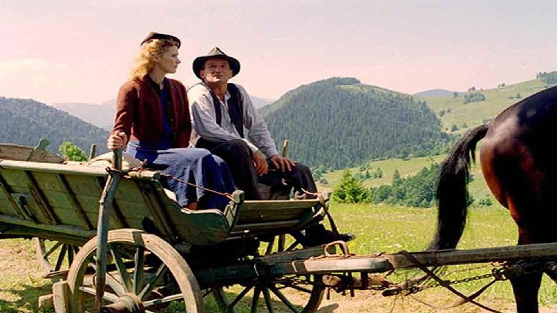 Zelary scene photo