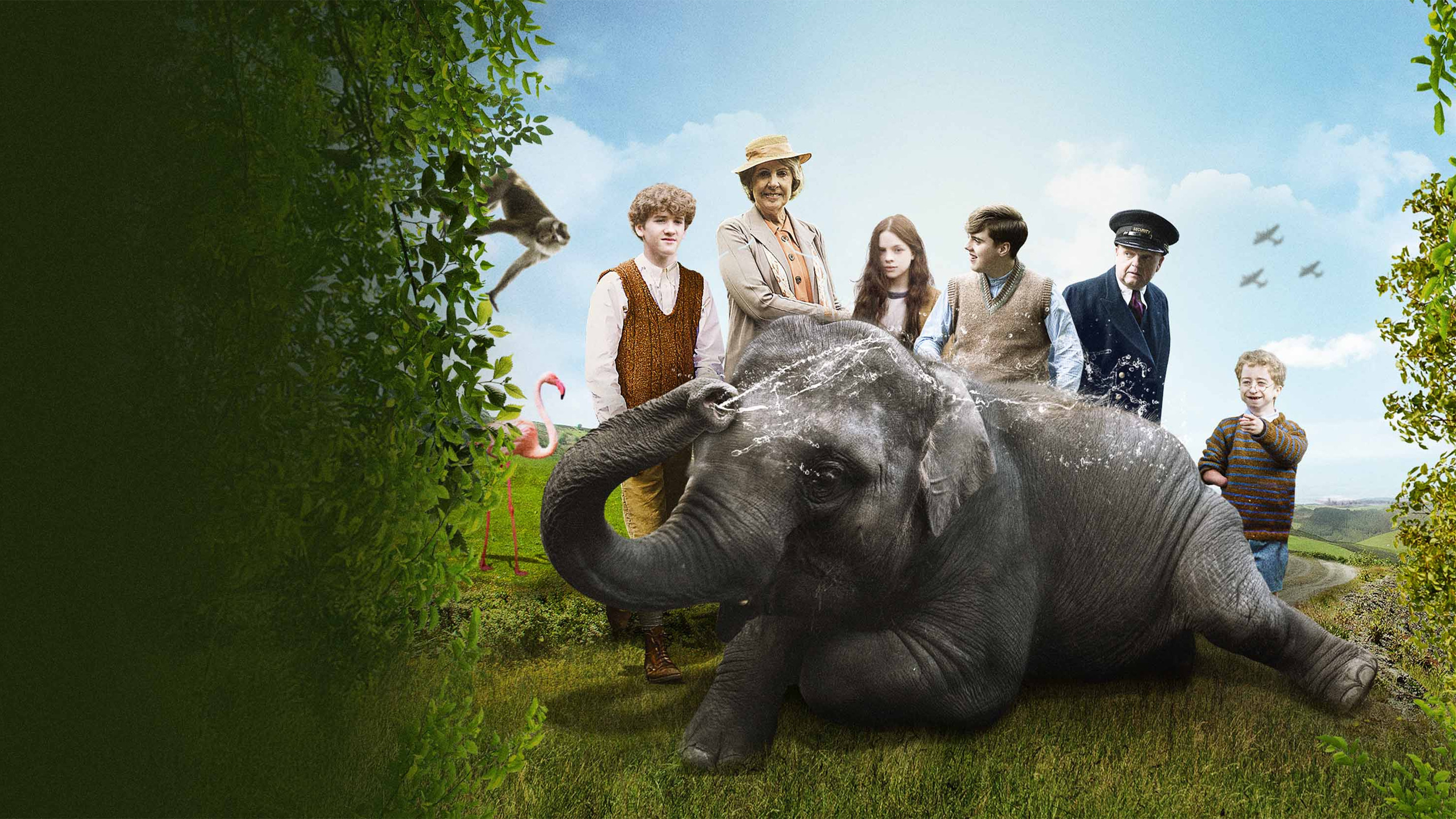 Zoo scene photo